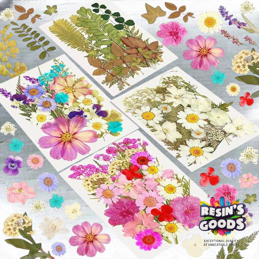 Pressed flowers (Dasies &mixflowers packs)