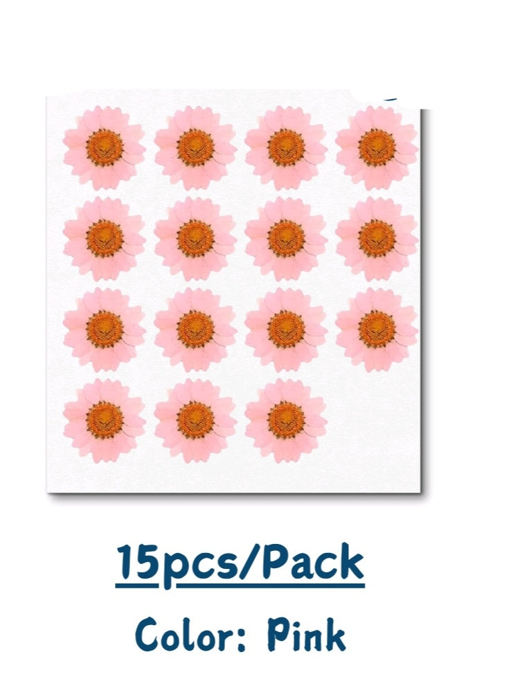 Pressed flowers (Dasies &mixflowers packs)