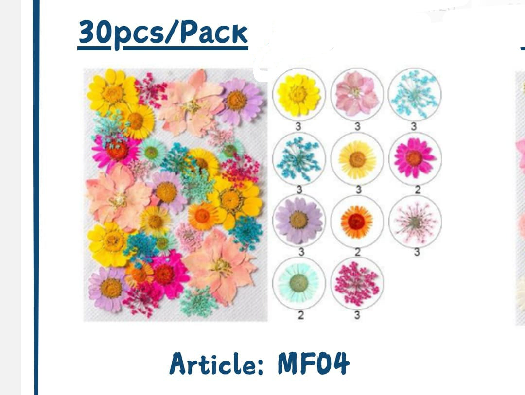 Pressed flowers (Dasies &mixflowers packs)