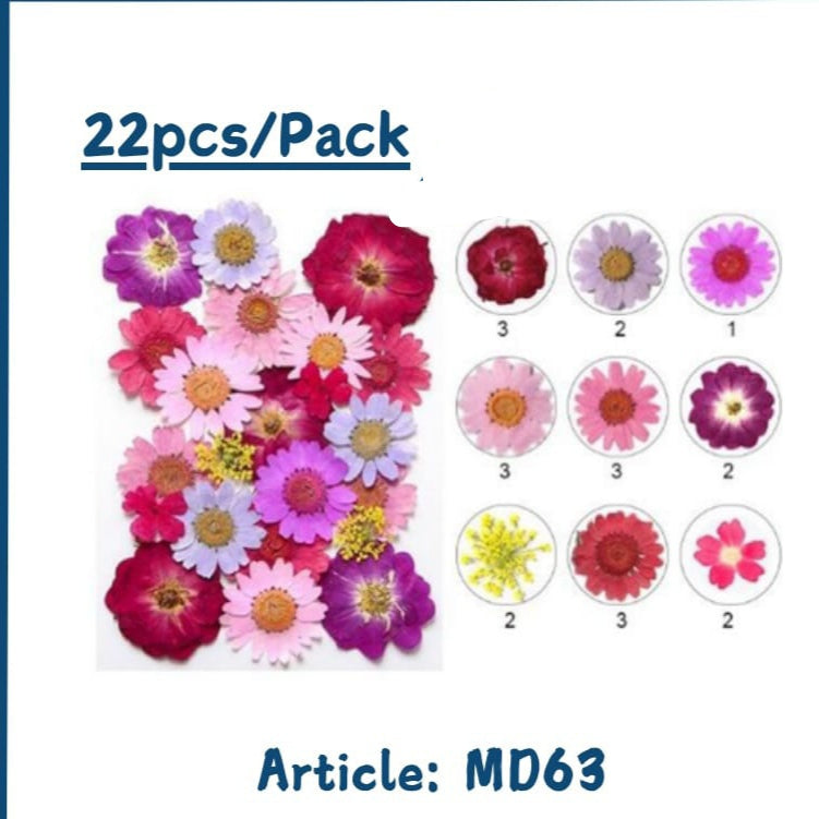 Pressed flowers (Dasies &mixflowers packs)