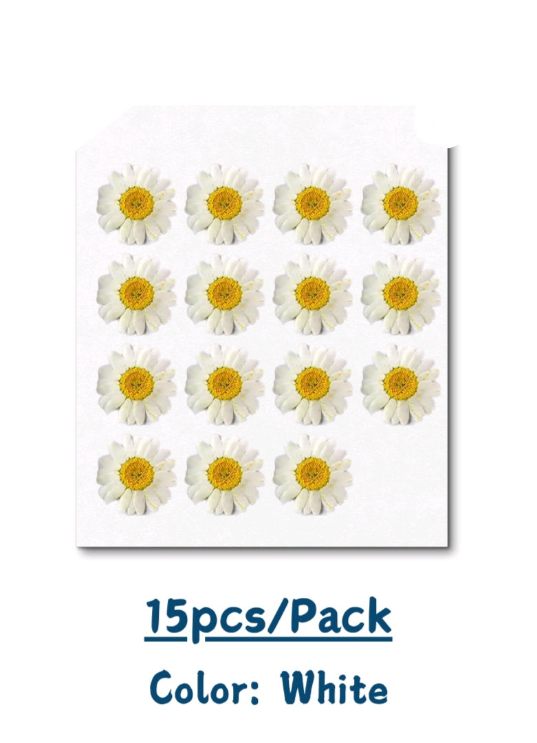 Pressed flowers (Dasies &mixflowers packs)