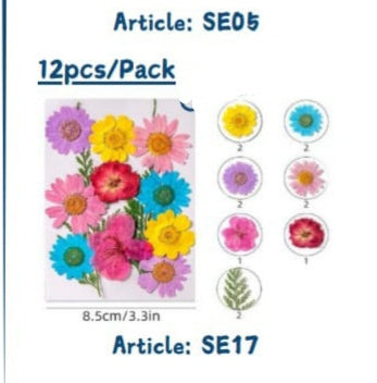 Pressed flowers (Dasies &mixflowers packs)