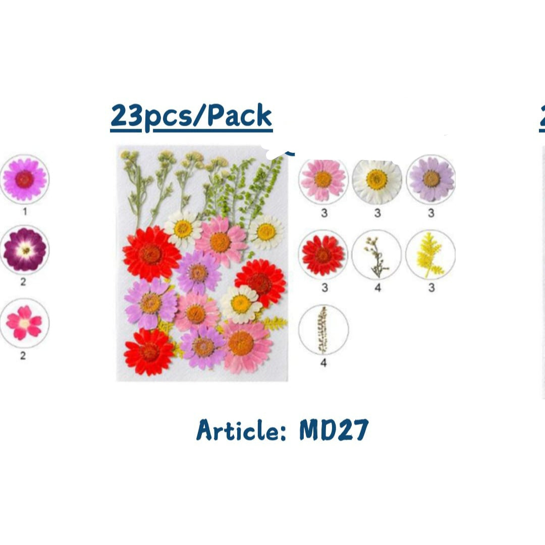 Pressed flowers (Dasies &mixflowers packs)