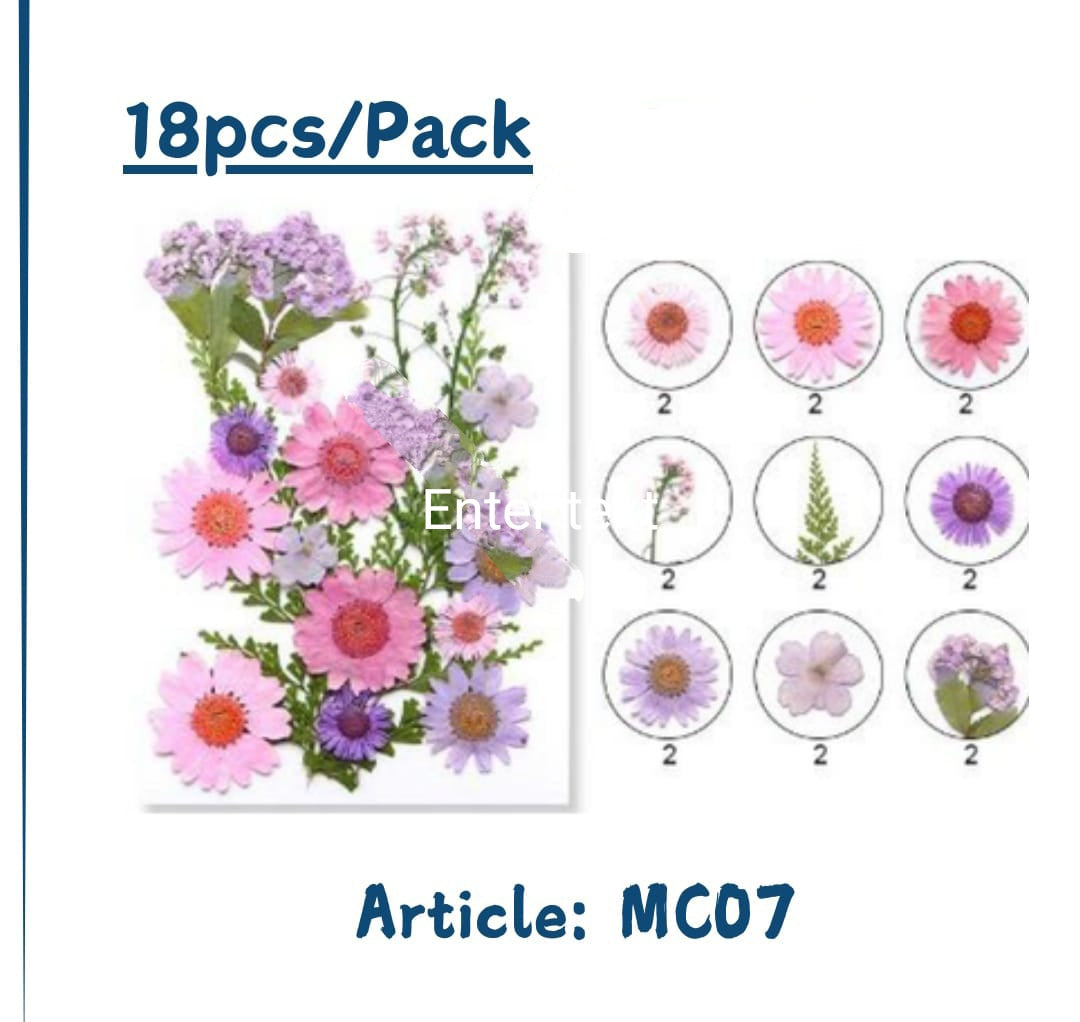 Pressed flowers (Dasies &mixflowers packs)